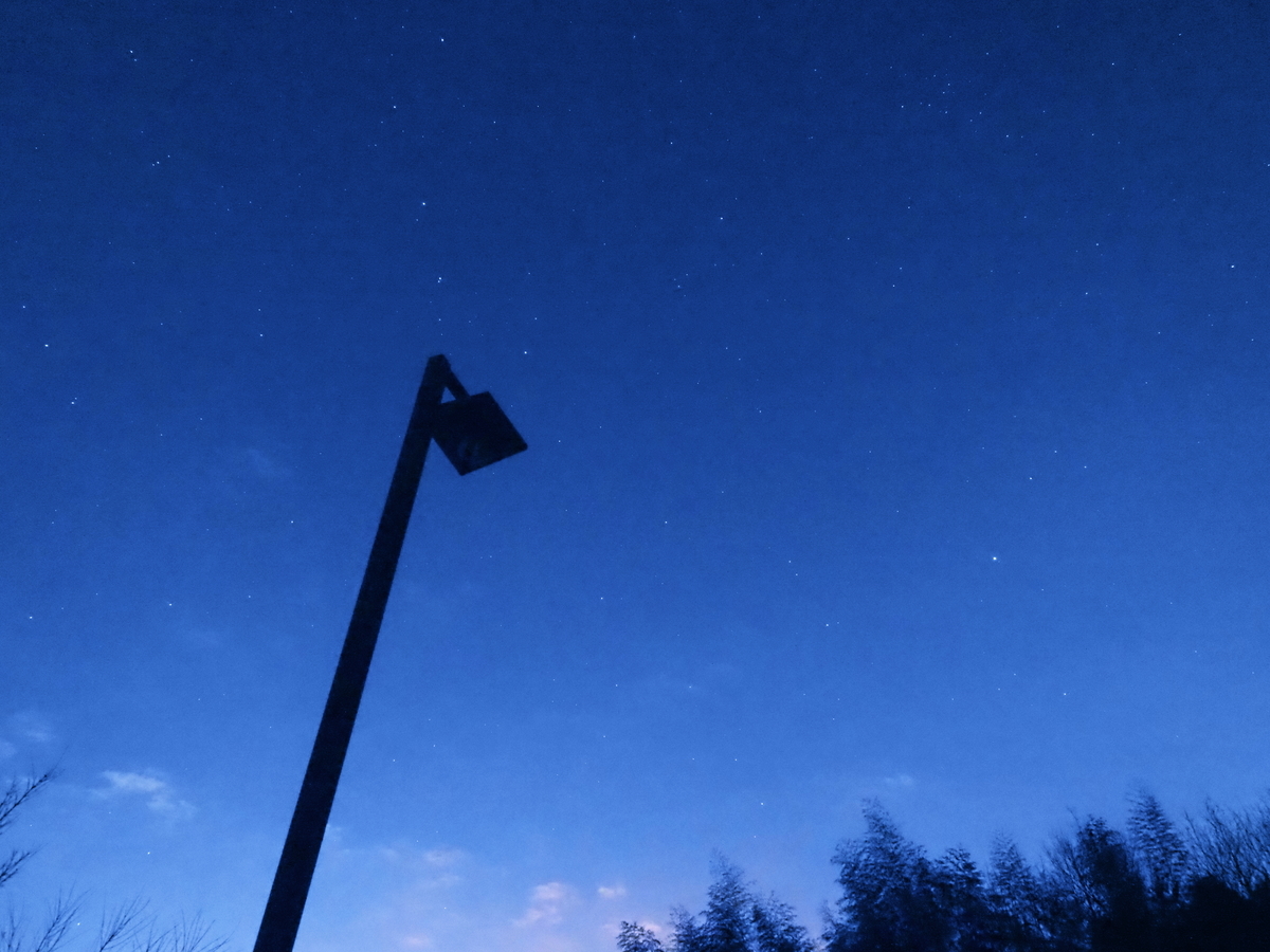 f:id:nekopictures:20200101215304j:plain