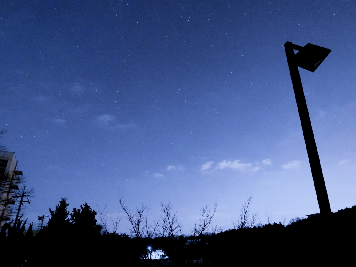 f:id:nekopictures:20200101215315j:plain