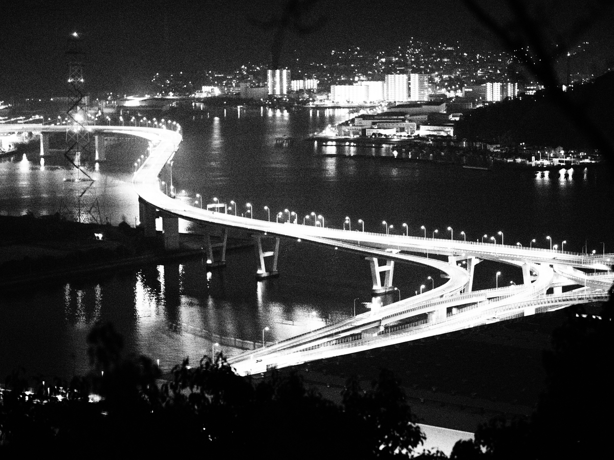 f:id:nekopictures:20200101221608j:plain