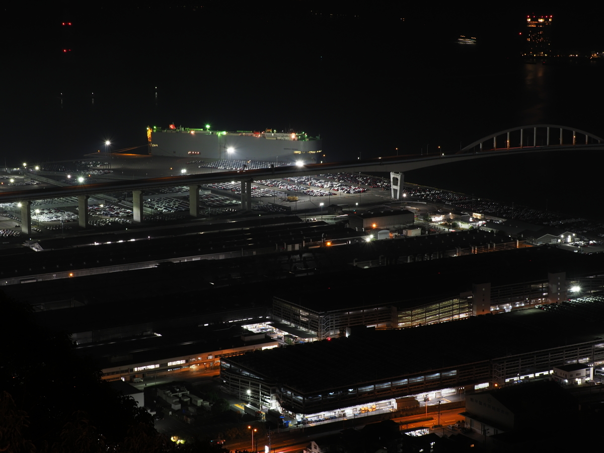 f:id:nekopictures:20200101231743j:plain