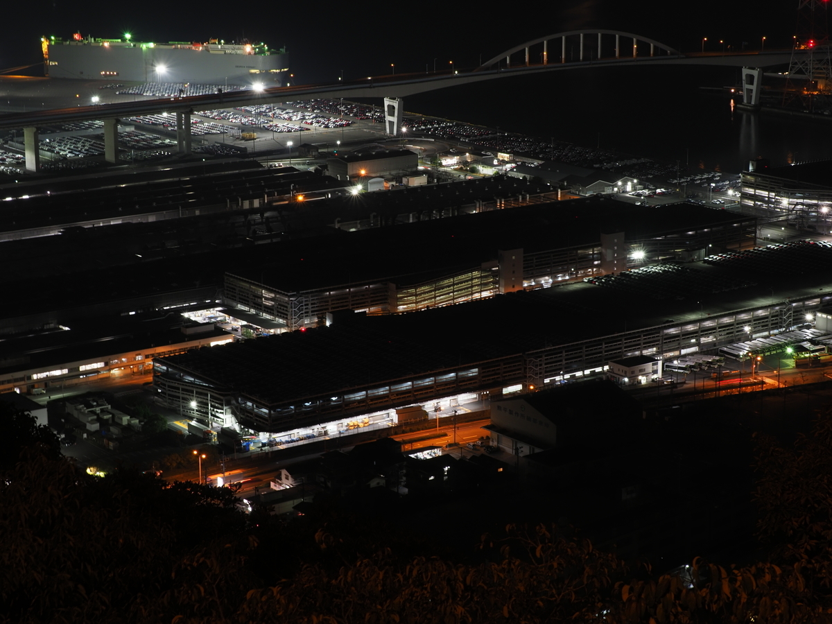 f:id:nekopictures:20200101232155j:plain