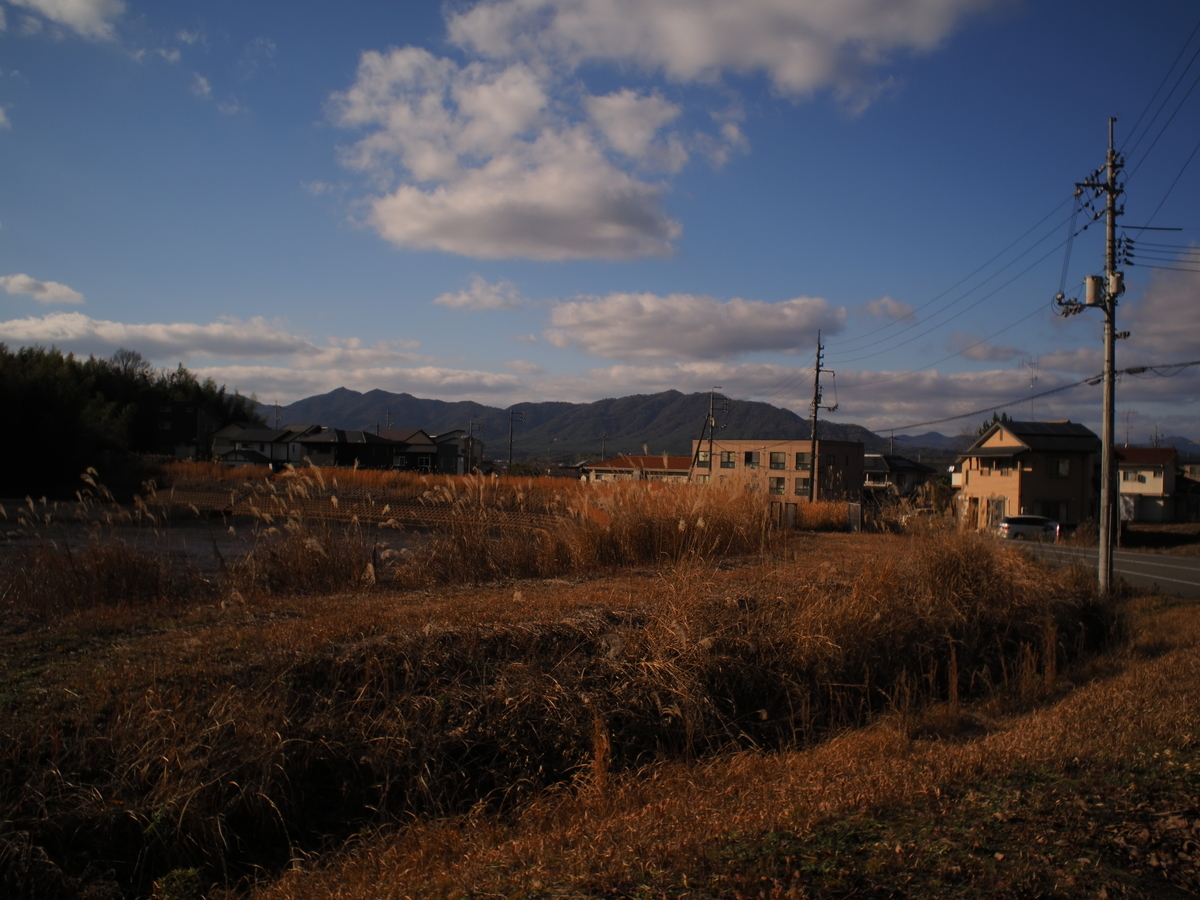 f:id:nekopictures:20200105021800j:plain