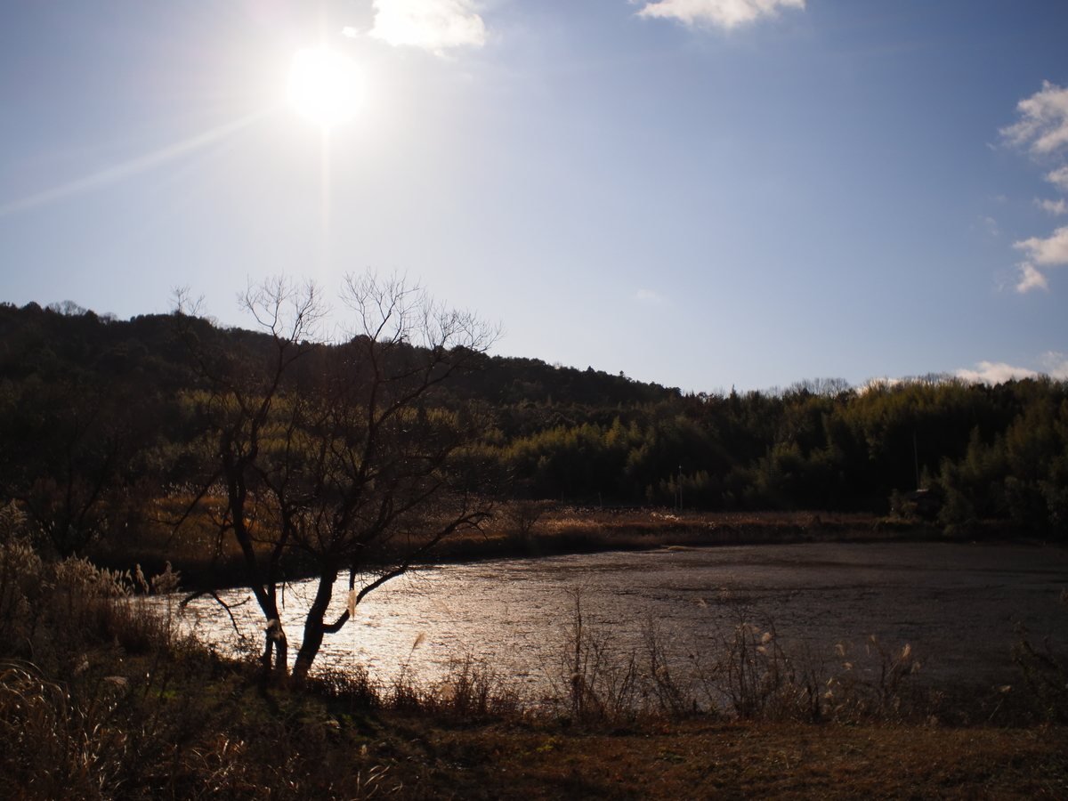 f:id:nekopictures:20200105021803j:plain