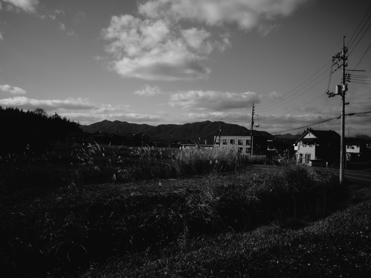 f:id:nekopictures:20200105023357j:plain