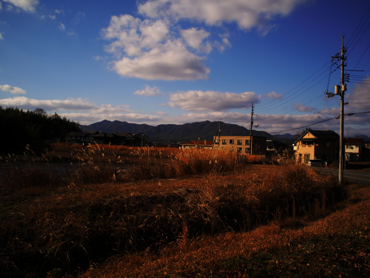 f:id:nekopictures:20200105023412j:plain