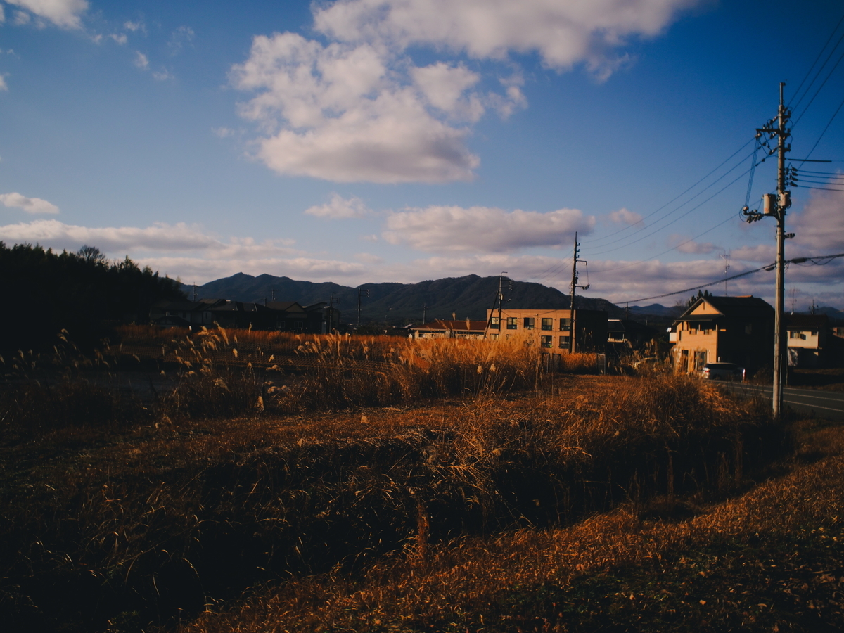 f:id:nekopictures:20200105023439j:plain