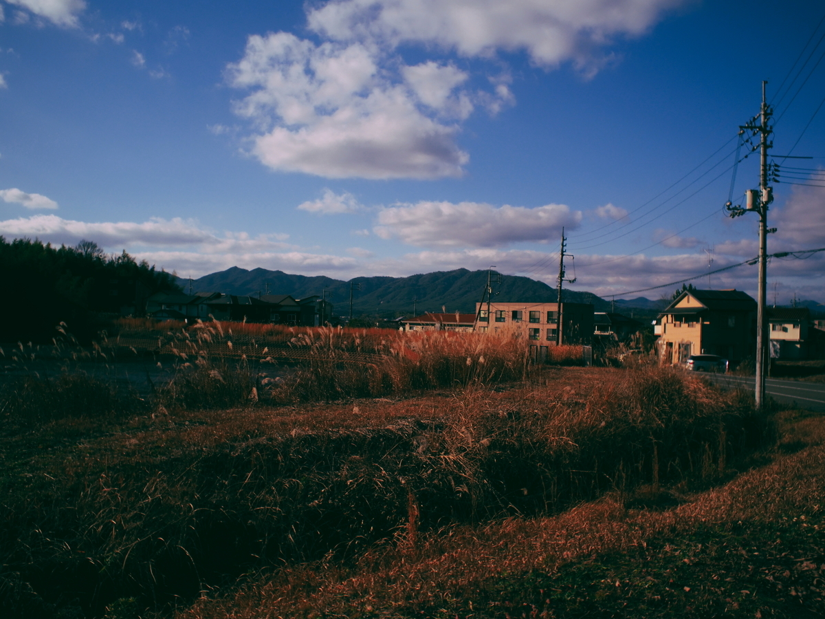 f:id:nekopictures:20200105023453j:plain