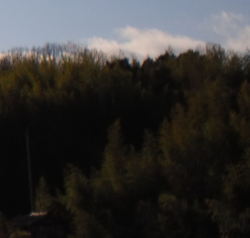 f:id:nekopictures:20200105025145j:plain