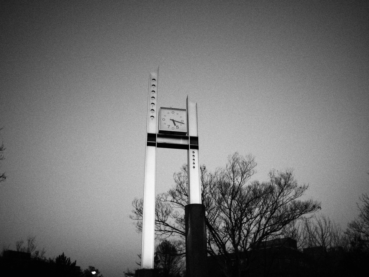 f:id:nekopictures:20200105030040j:plain