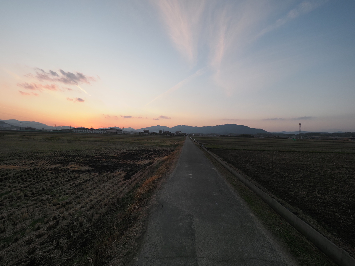 f:id:nekopictures:20200107163734j:plain