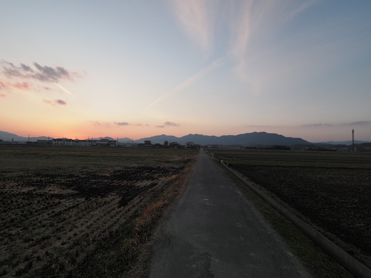 f:id:nekopictures:20200107163747j:plain