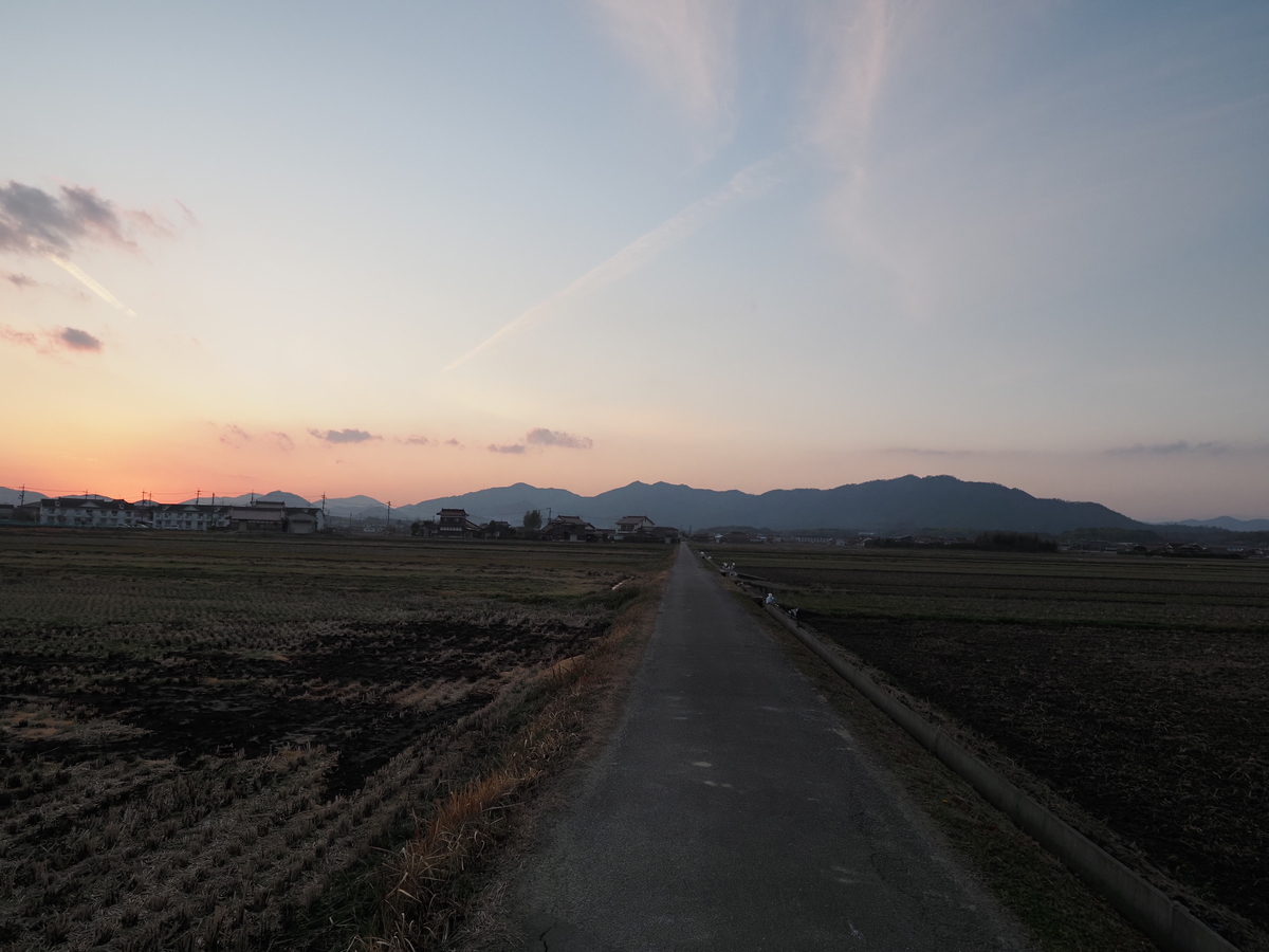 f:id:nekopictures:20200107164215j:plain