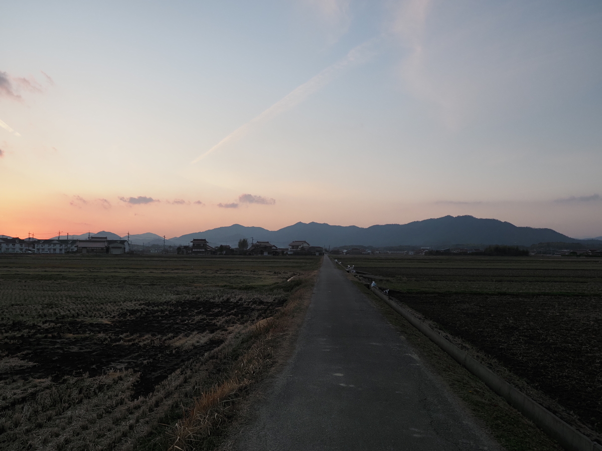 f:id:nekopictures:20200107164220j:plain