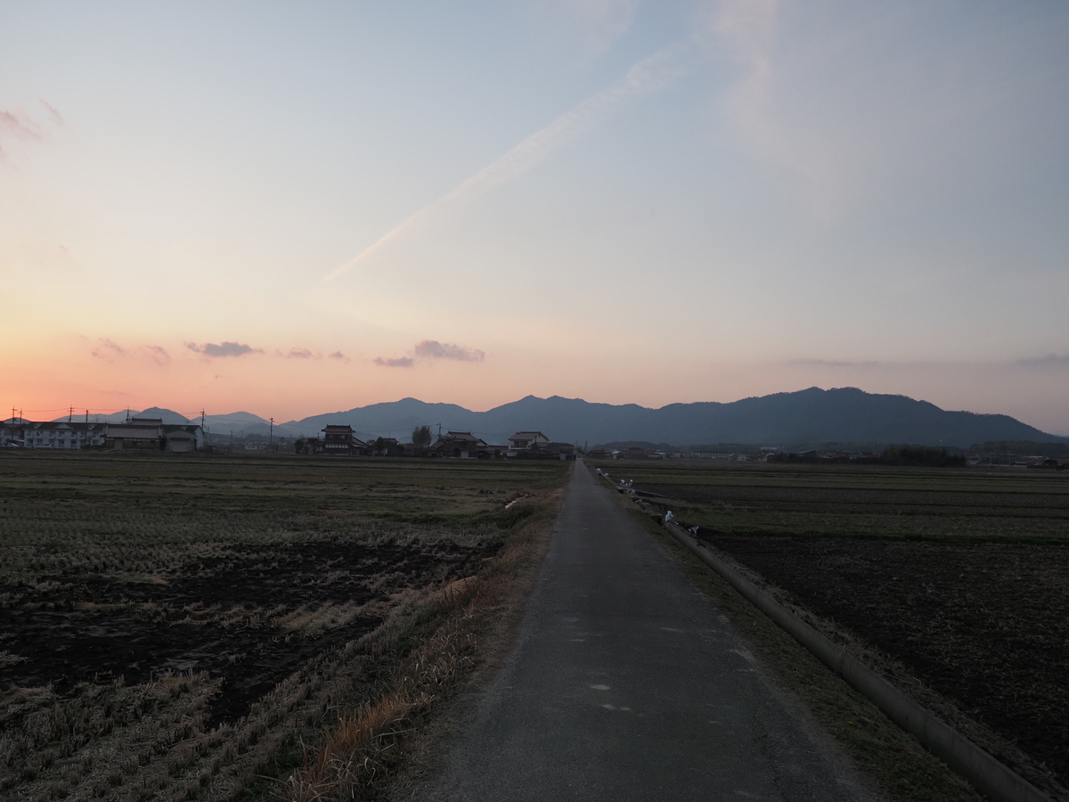 f:id:nekopictures:20200107164224j:plain