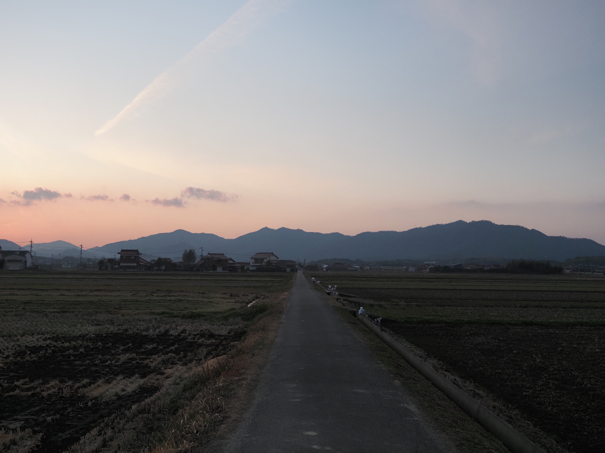 f:id:nekopictures:20200107165626j:plain