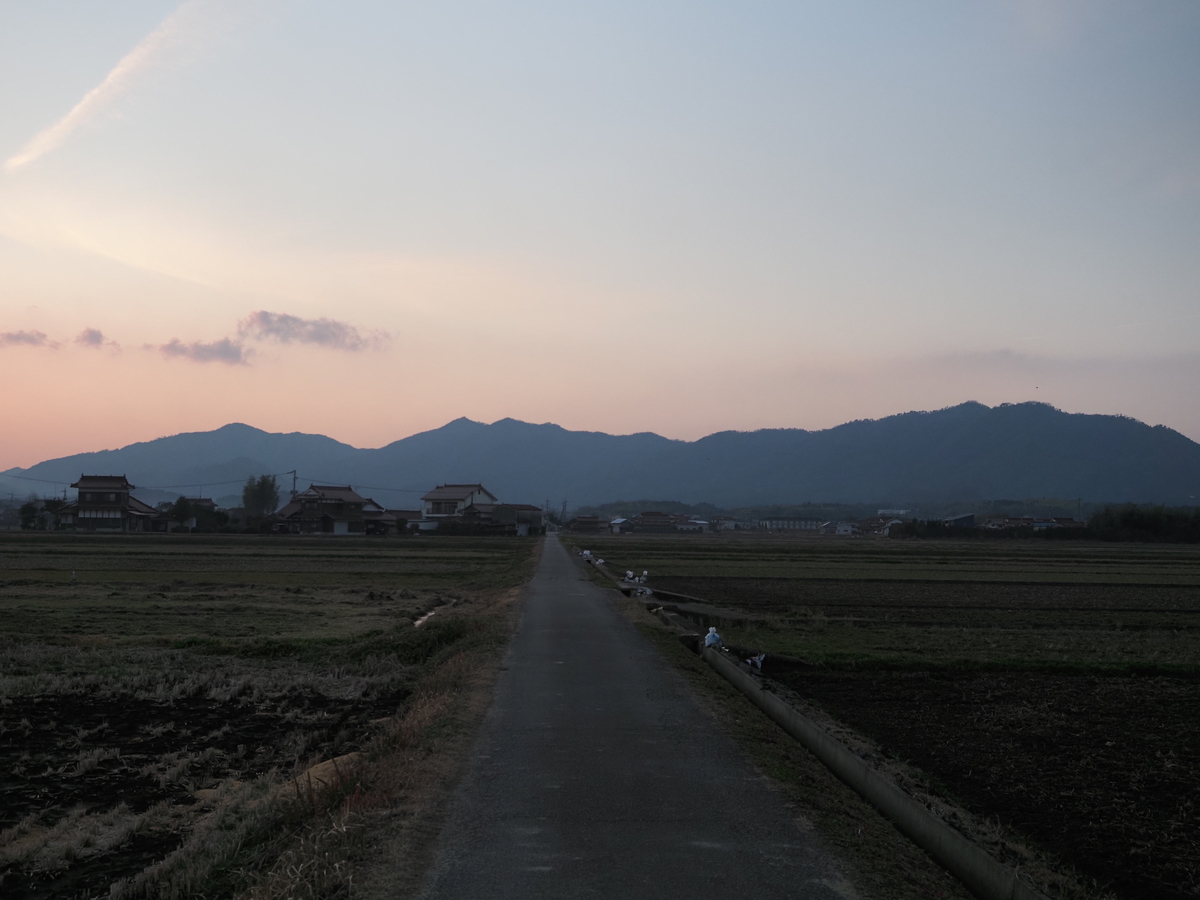 f:id:nekopictures:20200107165717j:plain