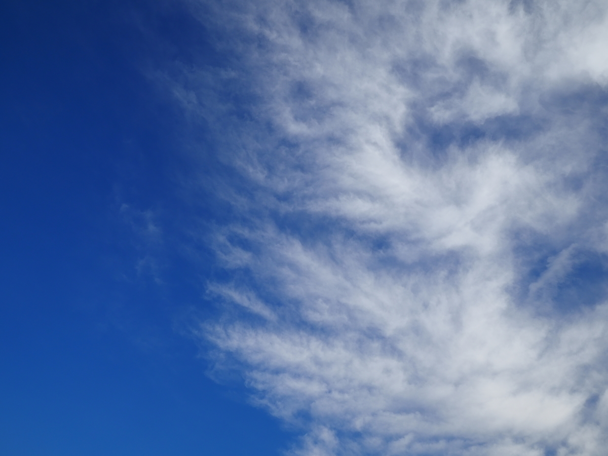 f:id:nekopictures:20200214012113j:plain