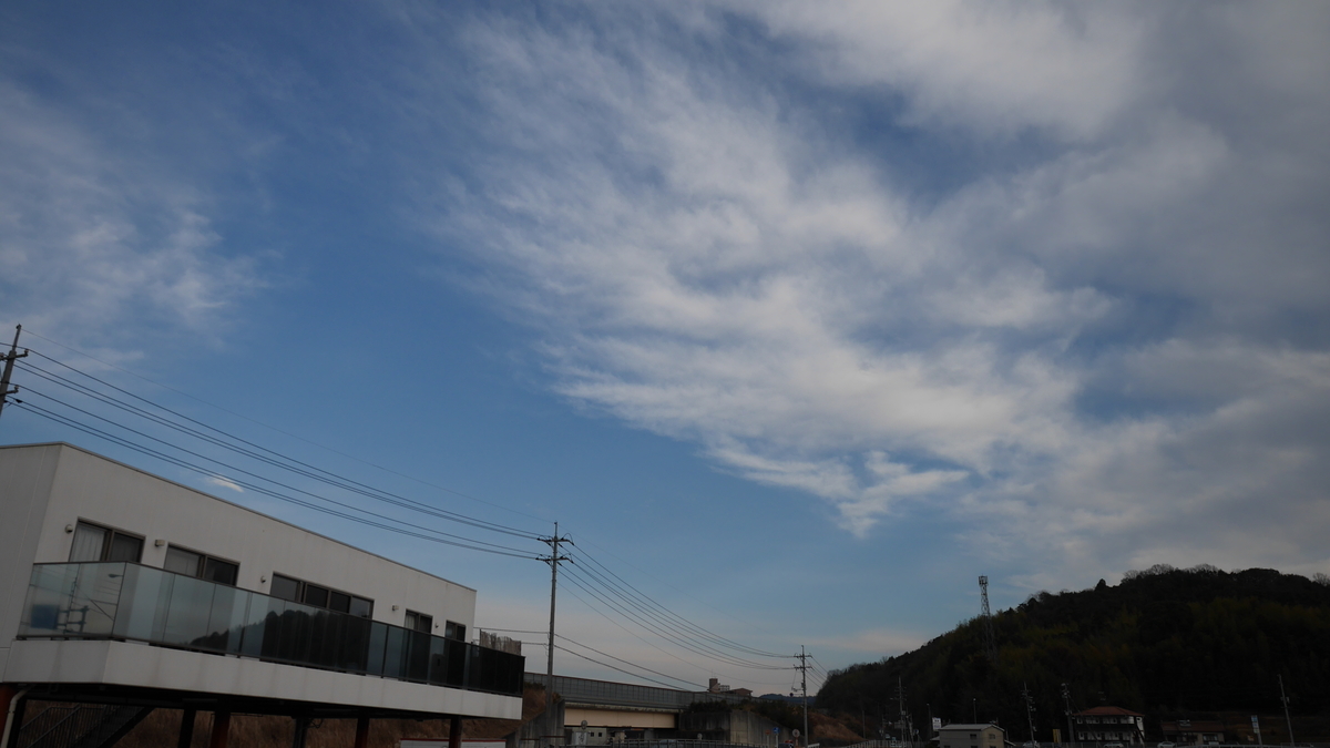 f:id:nekopictures:20200214015448j:plain