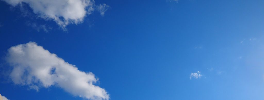 f:id:nekopictures:20200506001515j:plain