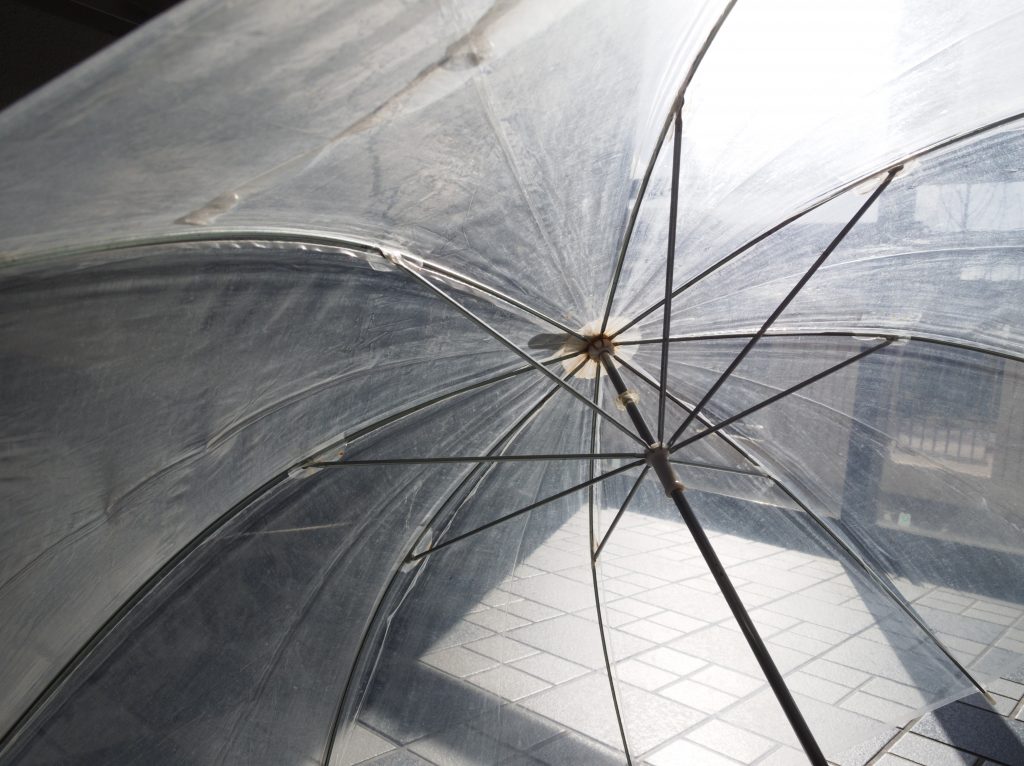 f:id:nekopictures:20200506001524j:plain