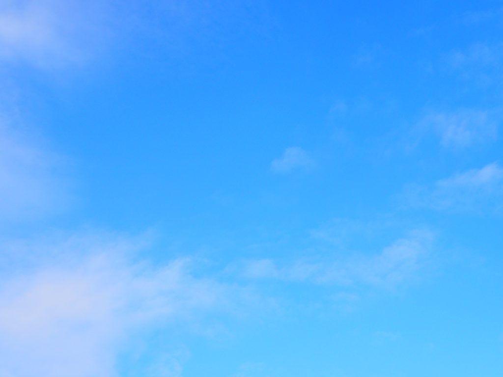f:id:nekopictures:20200506011926j:plain