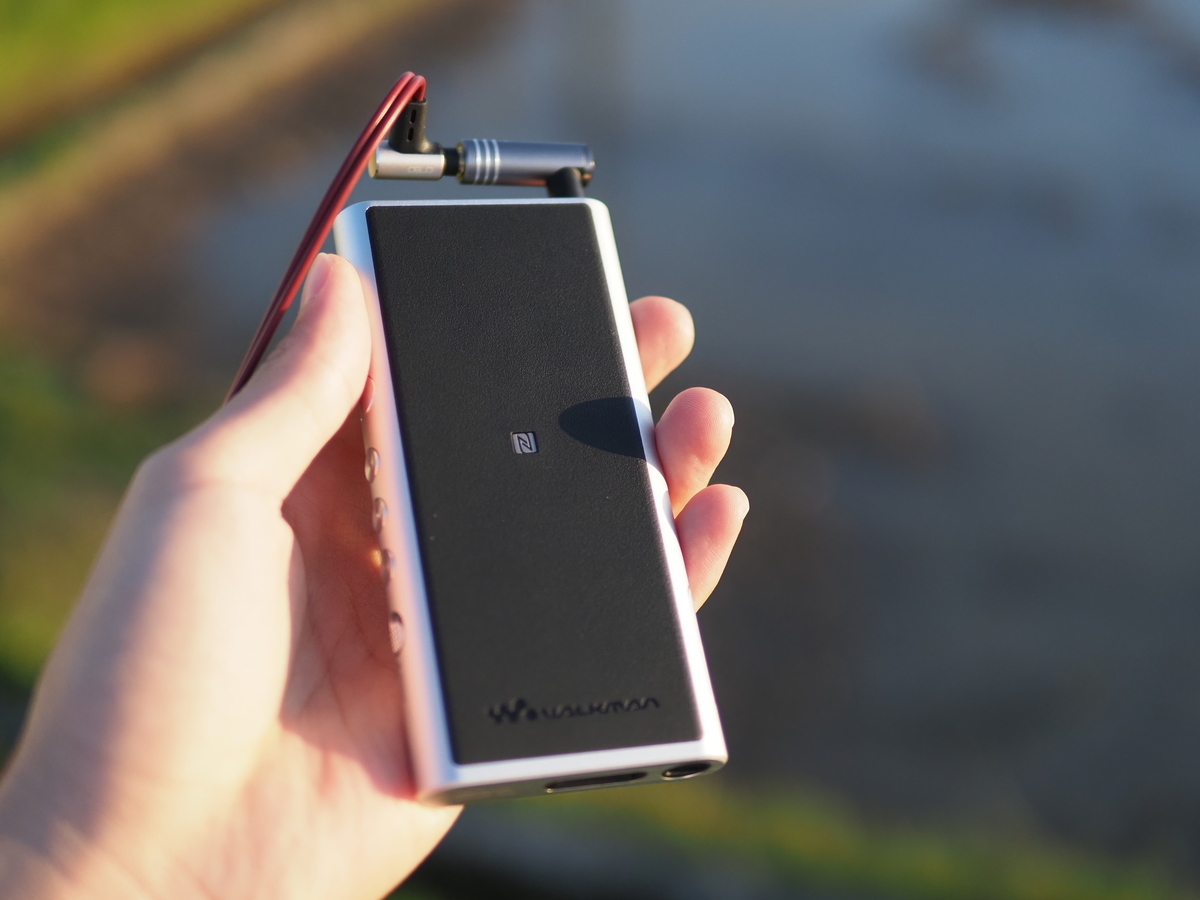 そもそもdapは１個で十分 Dapなんてマニアしか持たねぇんだよ Nekopictures ねこぴく