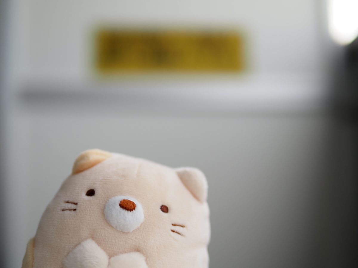 f:id:nekopictures:20210215205145j:plain