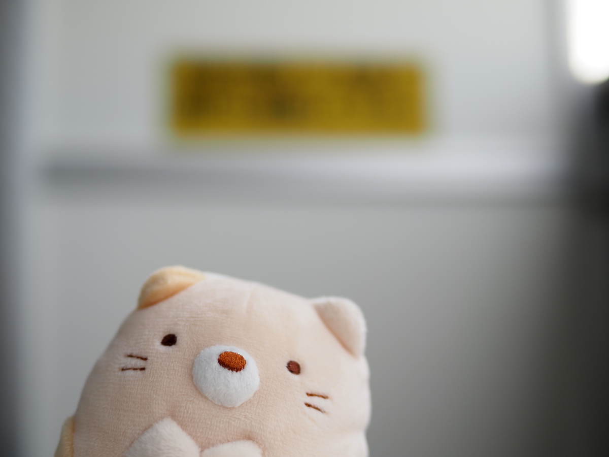 f:id:nekopictures:20210215205213j:plain