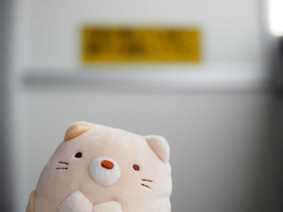 f:id:nekopictures:20210215205223j:plain