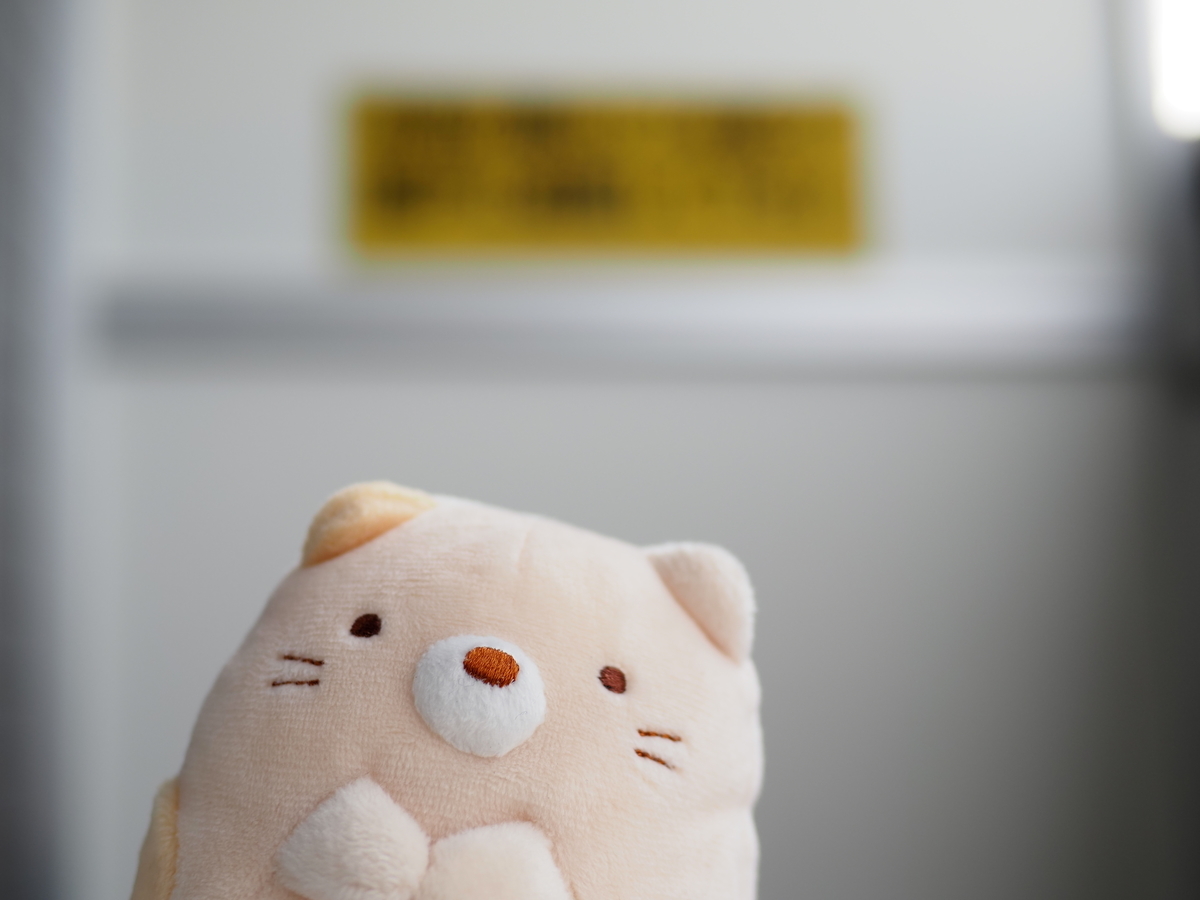 f:id:nekopictures:20210215205230j:plain