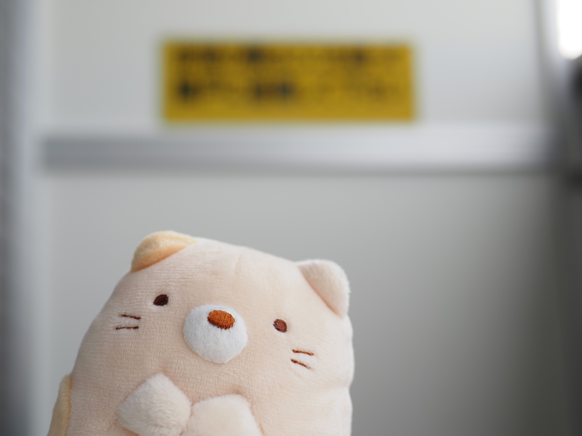 f:id:nekopictures:20210215205317j:plain