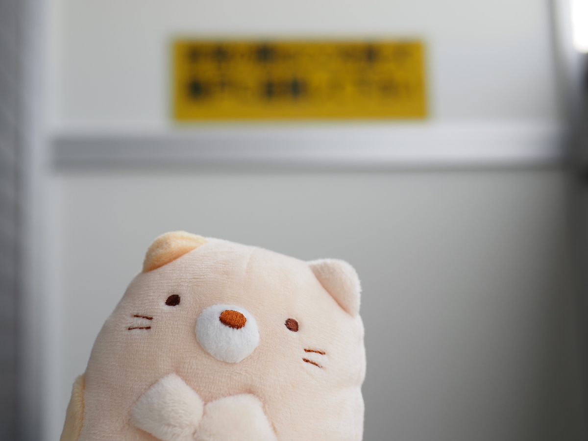 f:id:nekopictures:20210215205341j:plain