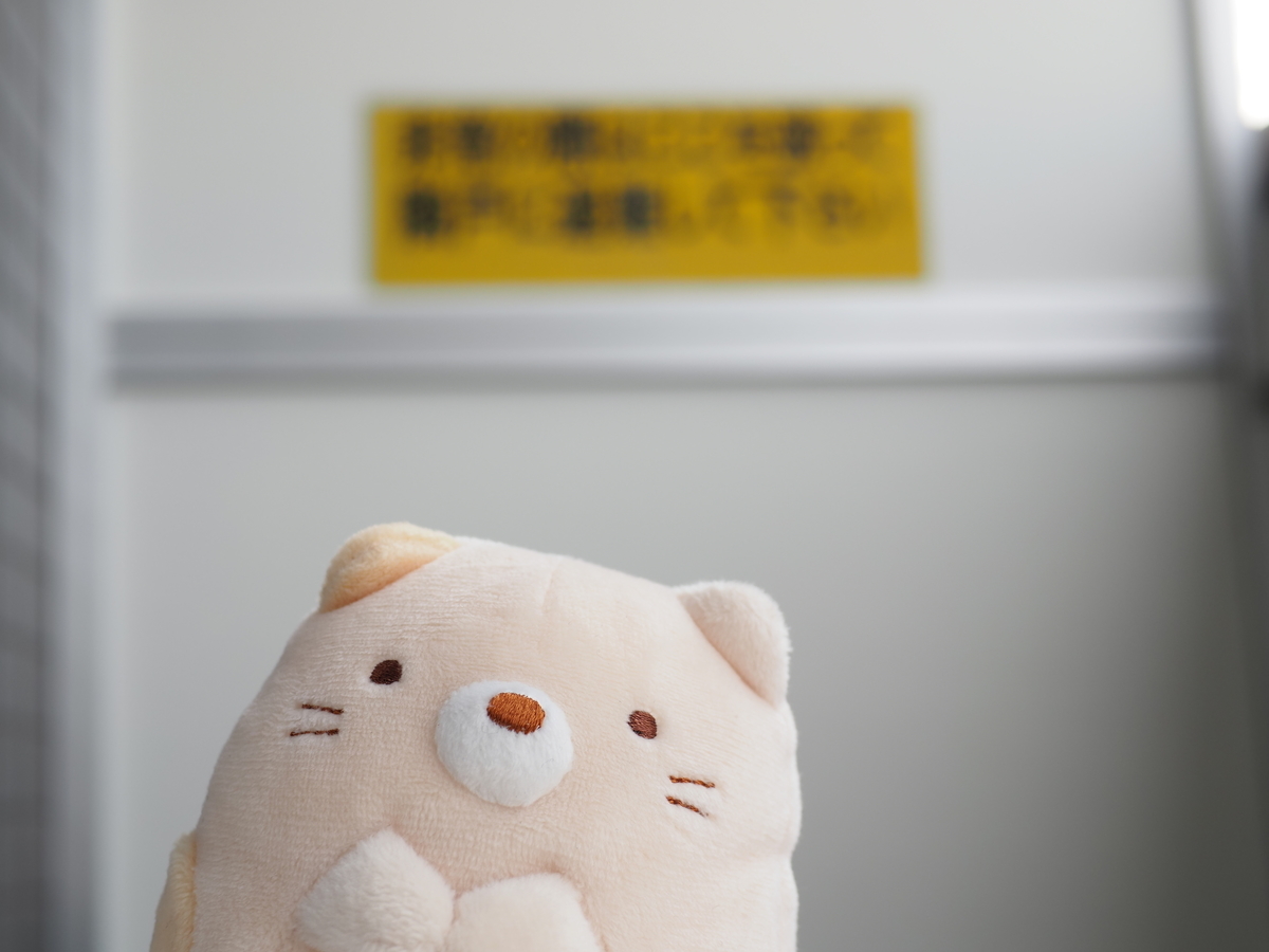 f:id:nekopictures:20210215205401j:plain