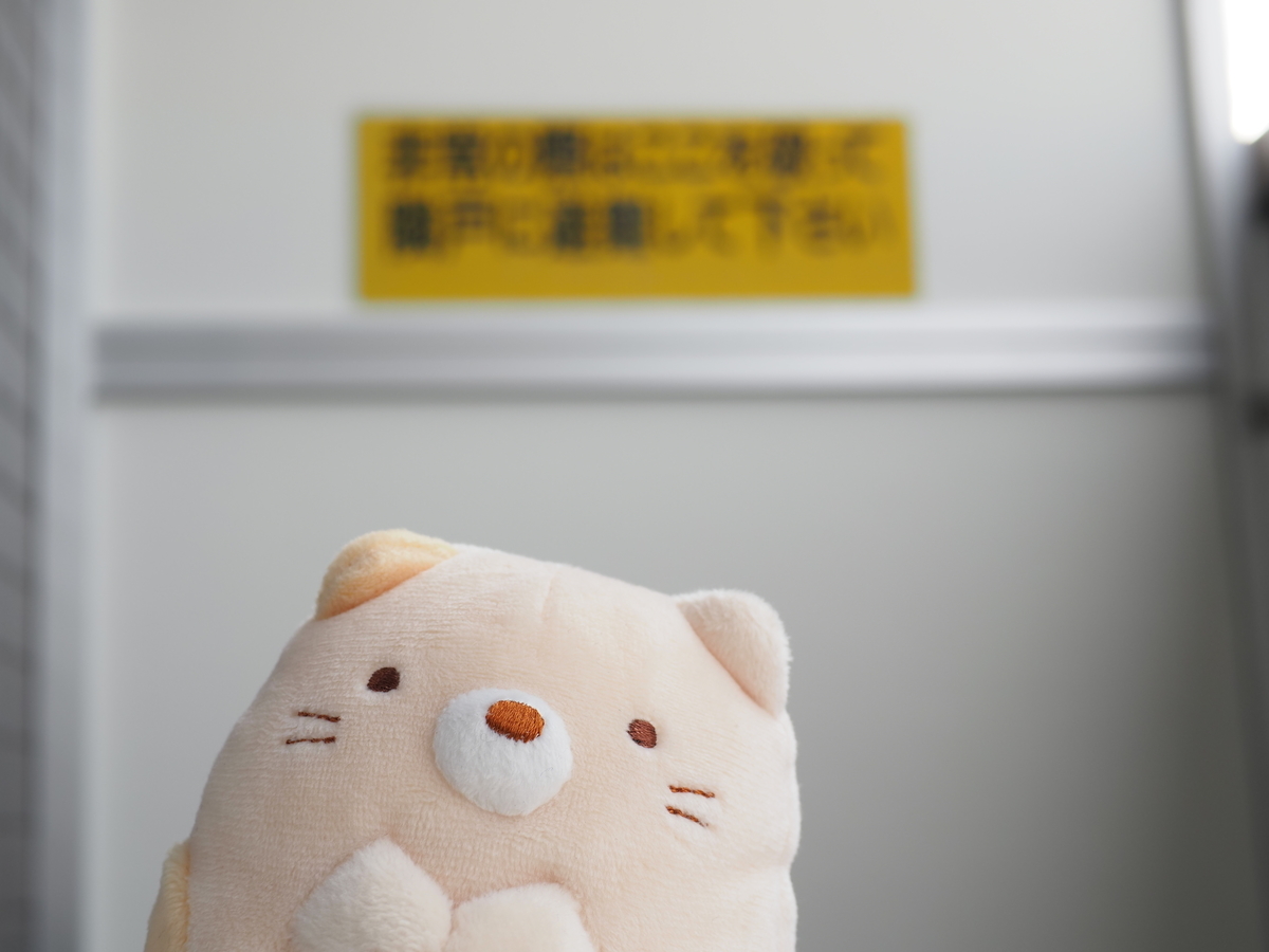 f:id:nekopictures:20210215205418j:plain
