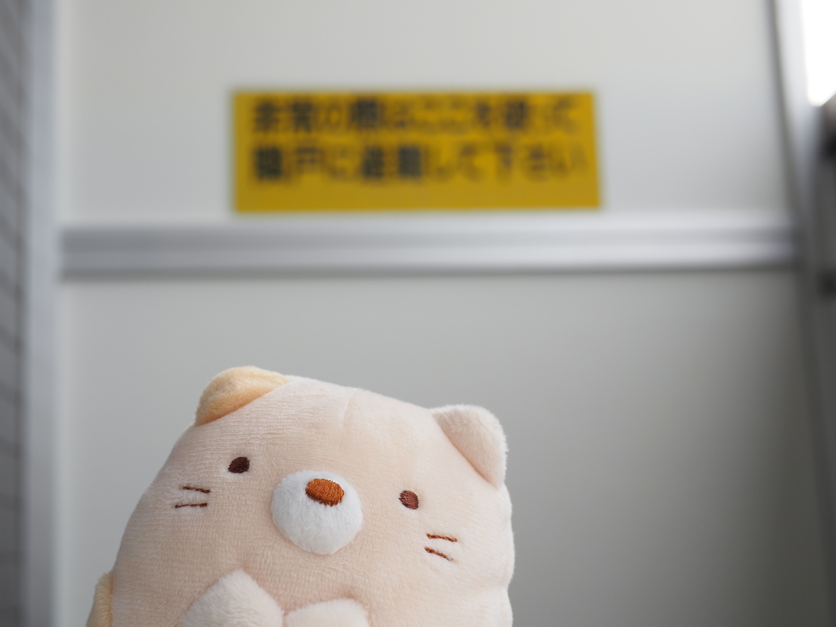 f:id:nekopictures:20210215205436j:plain