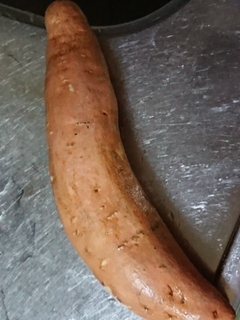 f:id:nekorecipe:20190923003146j:plain f:id:nekorecipe:20190923003146j:plain