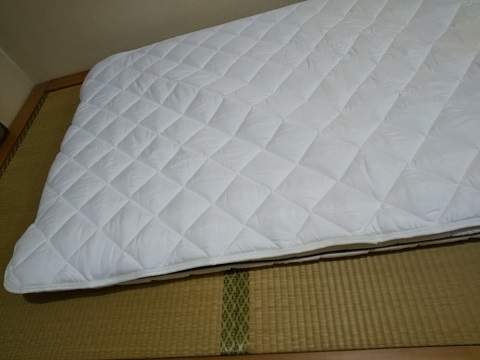 f:id:nekorecipe:20200901225101j:plain f:id:nekorecipe:20200901225101j:plain