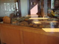 20081001144325