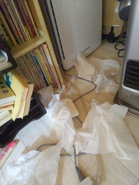 f:id:nekosam:20200329124121j:image