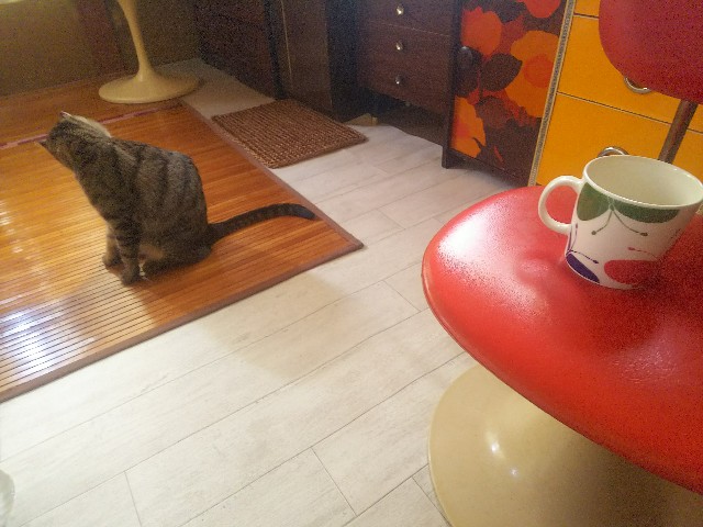 f:id:nekosam:20200508165053j:image f:id:nekosam:20200508165053j:image