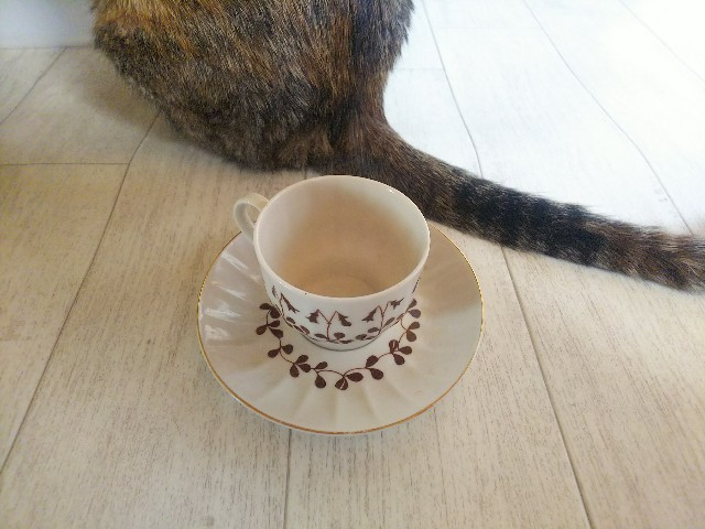 f:id:nekosam:20200508165600j:image f:id:nekosam:20200508165600j:image