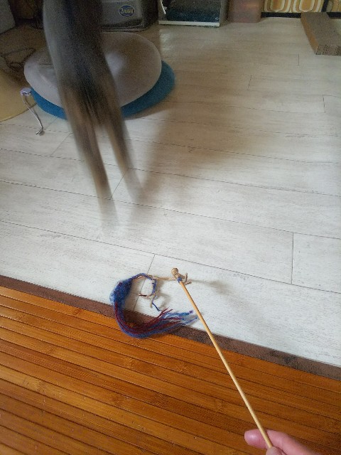 f:id:nekosam:20200518133416j:image