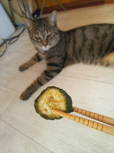 f:id:nekosam:20200615170509j:image f:id:nekosam:20200615170509j:image