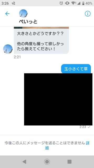 f:id:nekosamoon:20200811032811j:image