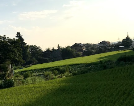 f:id:nekosayu:20190403154058p:plain ウォーキングしている道