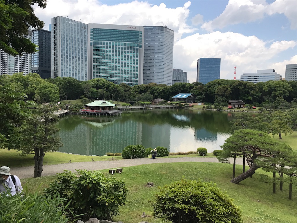 f:id:nekosippona:20170608000349j:image f:id:nekosippona:20170608000349j:image