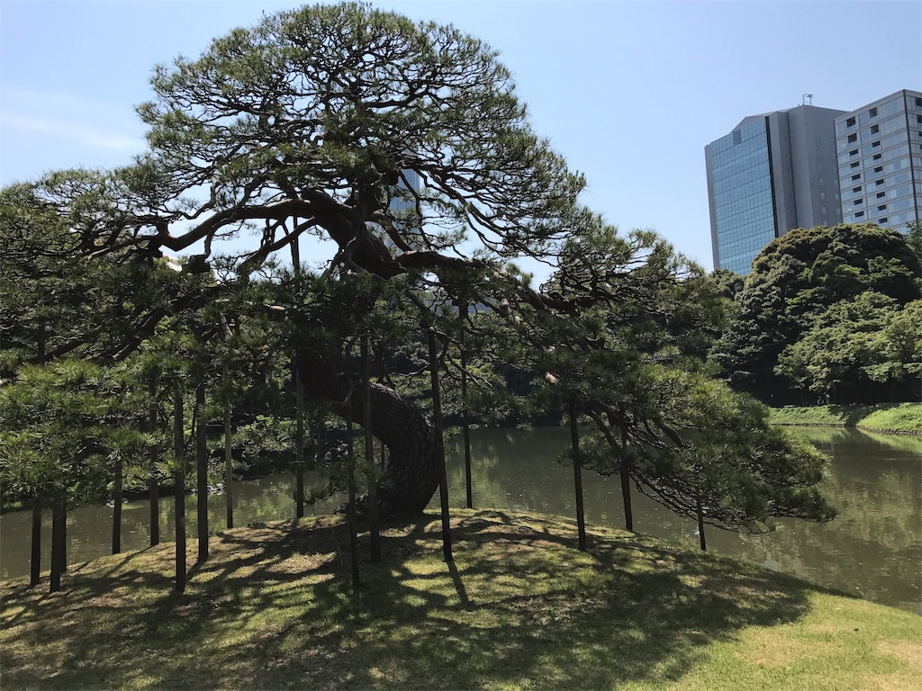 f:id:nekosippona:20170609070919j:image f:id:nekosippona:20170609070919j:image