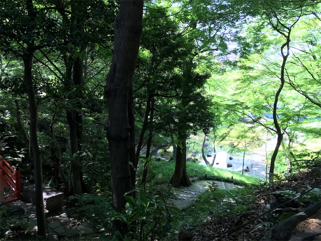f:id:nekosippona:20170611201935j:image f:id:nekosippona:20170611201935j:image