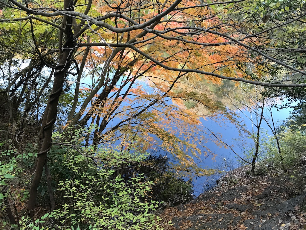 竜神大吊橋下の紅葉と竜神川