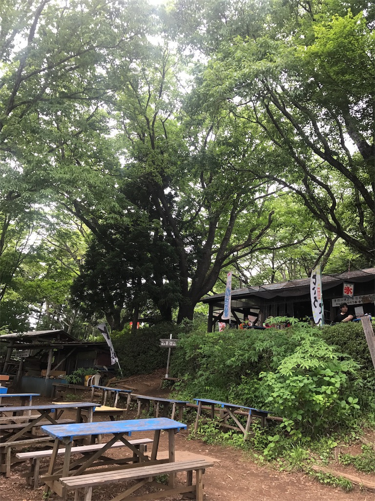 f:id:nekosippona:20180528201858j:image